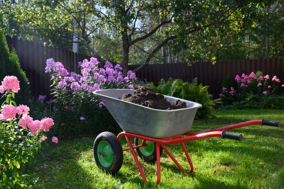 When and How to Fertilize Your Lawn for Maximum Growth