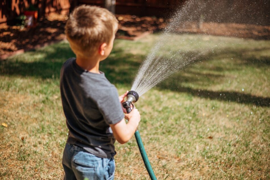 How to Conserve Water While Keeping Your Lawn Green