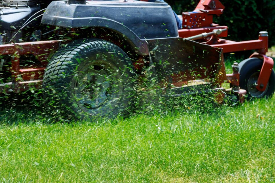 How to Prevent and Fix Lawn Scalping
