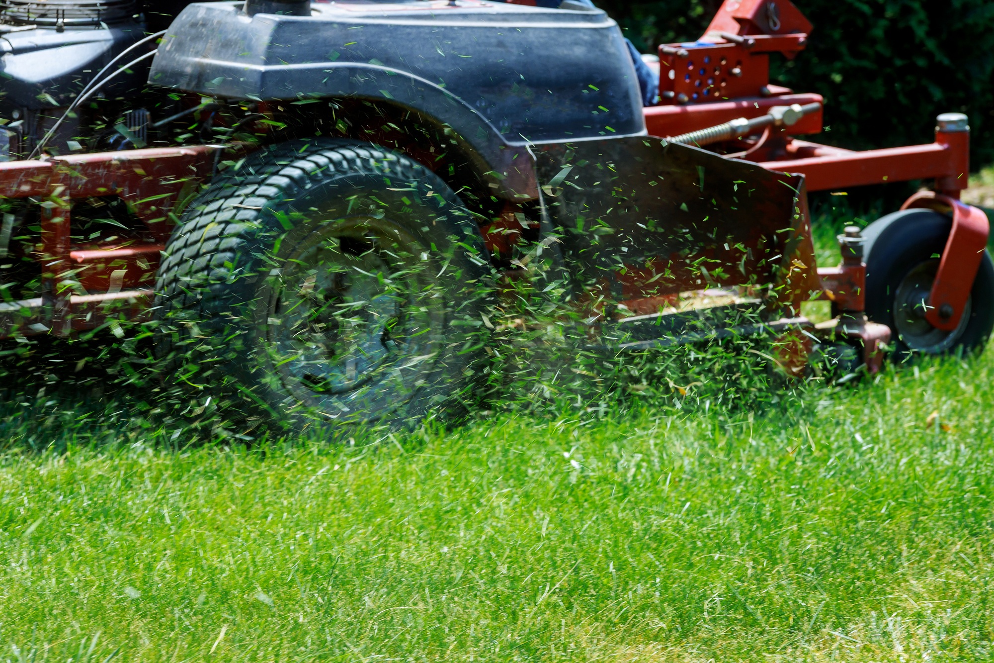 Closeup of grassmower cutting the grass with a lawn mower