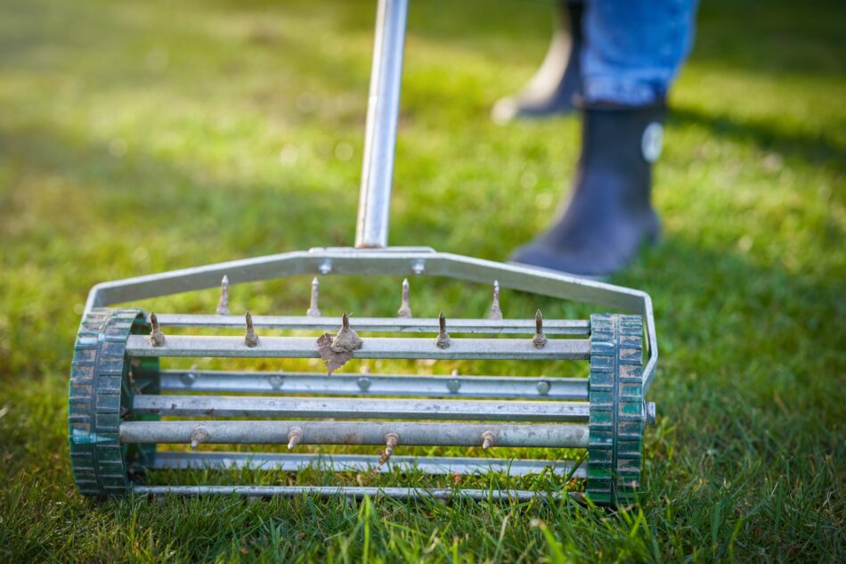 The Importance of Aeration: How and When to Do It