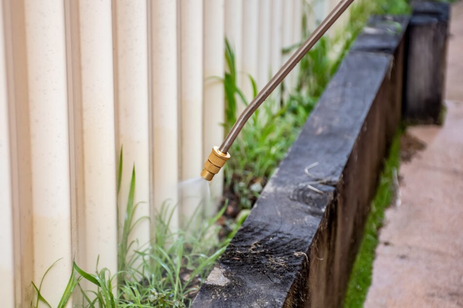 Natural vs. Chemical Weed Control: Which is Best?